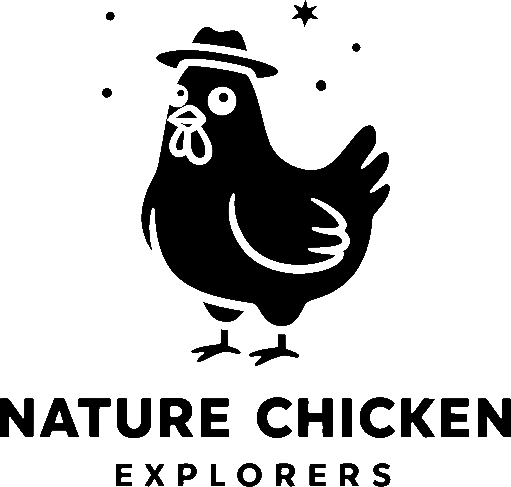 Nature Chicken Explorers